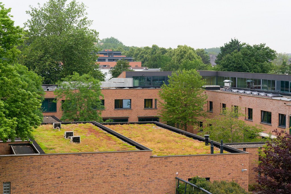 Groen dak bij GGZ Delfland